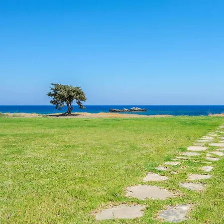 Ariti 빌라 키오타리